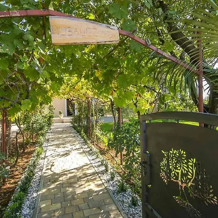 Hotel Oliva